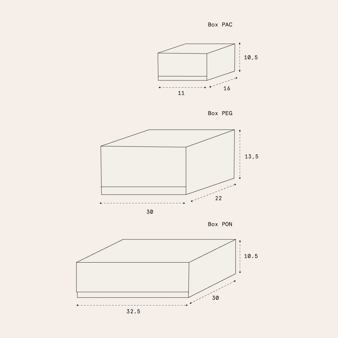 Förvaringsbox Pac 2-pack